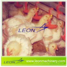 Hot price of automatic poultry nipple drinking system for livestock